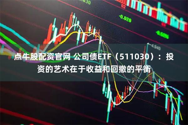 点牛股配资官网 公司债ETF（511030）：投资的艺术在于收益和回撤的平衡