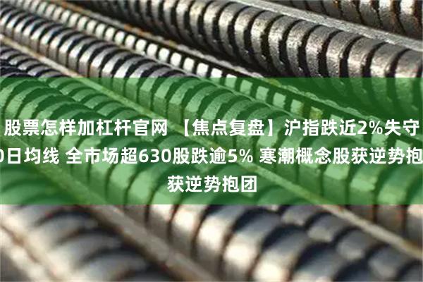 股票怎样加杠杆官网 【焦点复盘】沪指跌近2%失守30日均线 全市场超630股跌逾5% 寒潮概念股获逆势抱团
