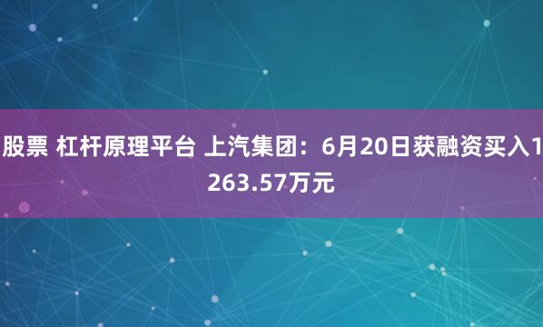 股票 杠杆原理平台 上汽集团：6月20日获融资买入1263.57万元