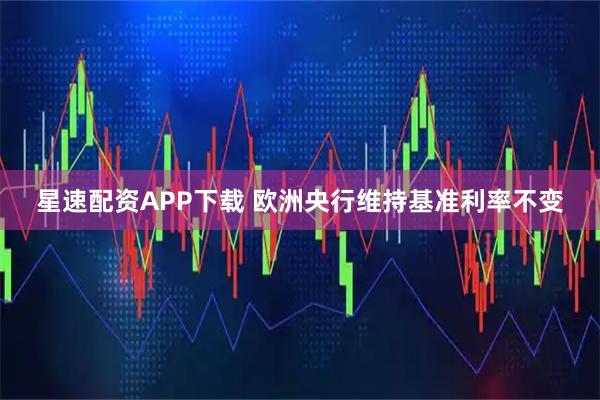 星速配资APP下载 欧洲央行维持基准利率不变