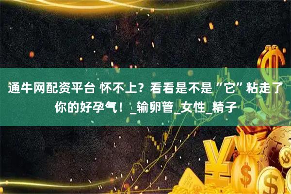 通牛网配资平台 怀不上?看看是不是“它”粘走了你的好孕气!_输卵管_女性_精子