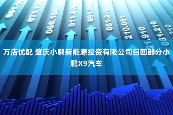 万店优配 肇庆小鹏新能源投资有限公司召回部分小鹏X9汽车